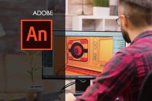 Adobe Flash / Animate course