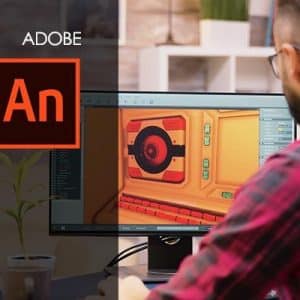 Adobe Flash / Animate course