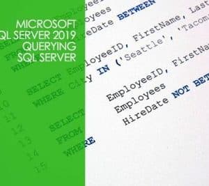 querying sql server training course