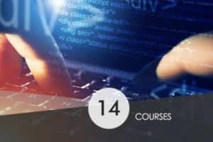 Web Programming training course